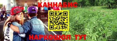 дмт Новозыбков