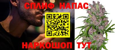 спиды Новокубанск