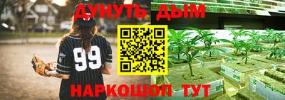 соль ск Новодвинск