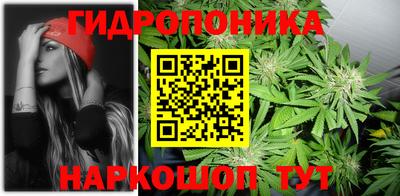 дмт Новозыбков